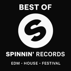 Best of Spinnin' Records 🔥